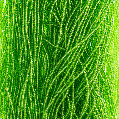 Czech Seed Beads 13/0 Transparent Strung