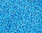 Miyuki Delica 11/0 Bag Opaque Dyed