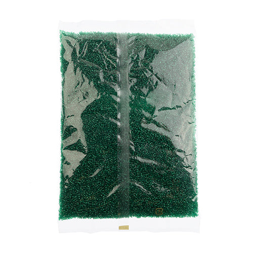 Miyuki Delica 11/0 Bag Transparent Matte Dyed