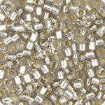 Miyuki Delica 11/0 Bag Transparent Silverlined