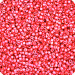 Miyuki Delica 11/0  Bag Duracoat Galvanized