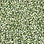 Miyuki Delica 11/0  Bag Duracoat Galvanized