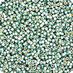 Miyuki Delica 11/0  Bag Duracoat Galvanized
