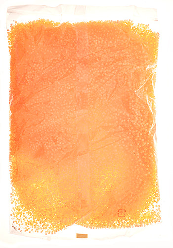 Miyuki Delica 11/0 Bag Silk Inside Dyed