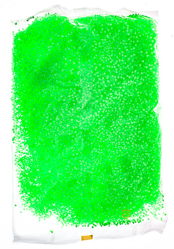 Miyuki Delica 11/0 Bag Silk Inside Dyed