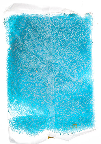 Miyuki Delica 11/0 Bag Silk Inside Dyed