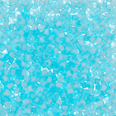 Miyuki Delica 11/0 Bag Silk Inside Dyed