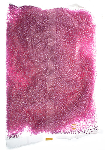 Miyuki Delica 11/0 Bag Aurora Borealis Silk Inside Dyed