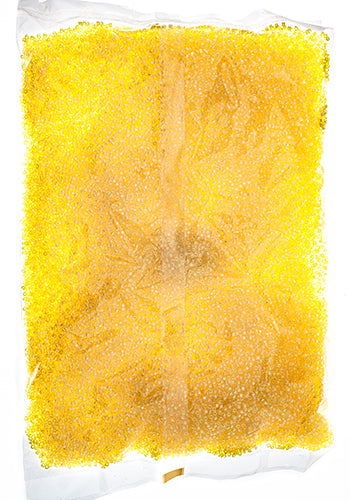 Miyuki Delica 11/0 Bag Transparent Luster