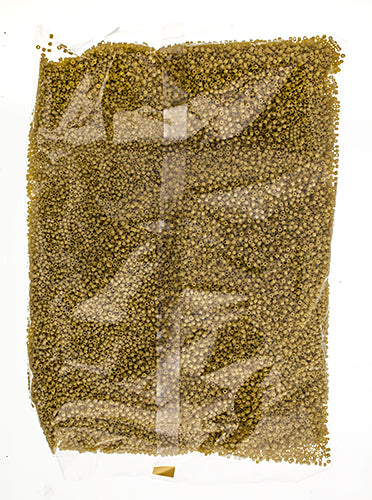 Miyuki Delica 11/0 Bag Frosted Glazed Matte