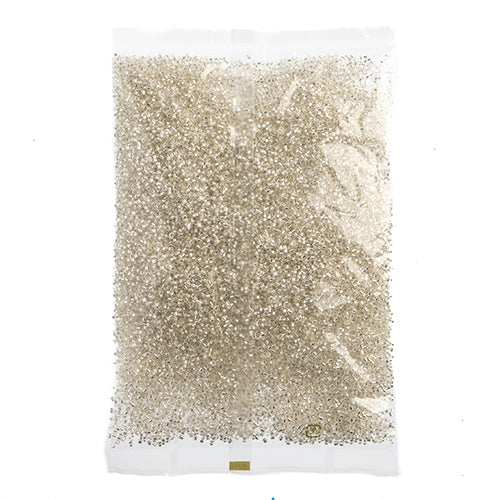 Miyuki Delica 10/0 Bag Silverlined