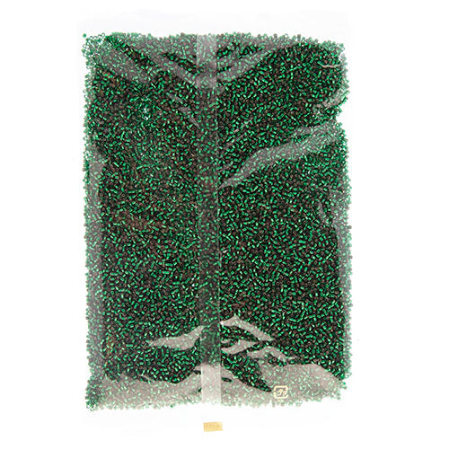 Miyuki Delica 10/0 Bag Silverlined