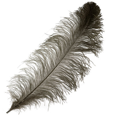 Ostrich Wing Feathers 18-24in Premium Quality 1/2lb