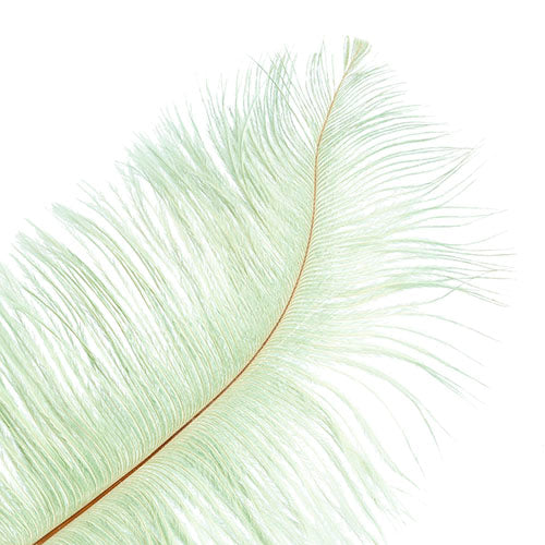 Ostrich Drab Feathers 6-8in Premium Quality 