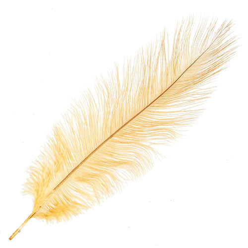 Ostrich Drab Feathers 11-13in Premium Quality