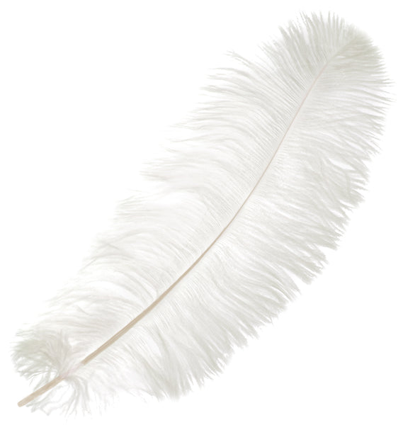 Ostrich Drab Feathers 14-16in Premium Quality 