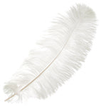 Ostrich Drab Feathers 14-16in Premium Quality