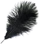 Ostrich Drab Feathers 14-16in Premium Quality