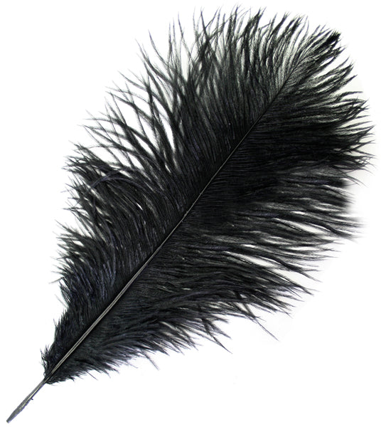 Ostrich Drab Feathers 14-16in Premium Quality 