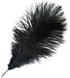 Ostrich Drab Feathers 14-16in Premium Quality 