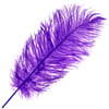 Ostrich Drab Feathers 14-16in Premium Quality 