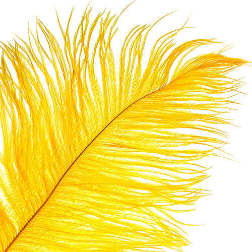 Ostrich Drab Feathers 14-16in Premium Quality 