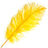 Ostrich Drab Feathers 14-16in Premium Quality 