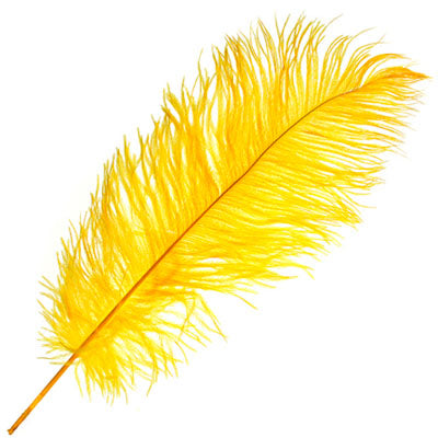 Ostrich Drab Feathers 14-16in Premium Quality