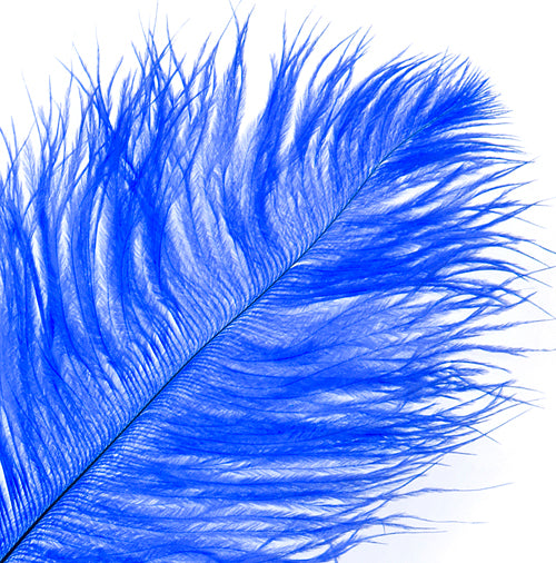 Ostrich Drab Feathers 14-16in Premium Quality 