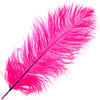 Ostrich Drab Feathers 14-16in Premium Quality 