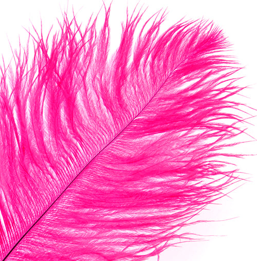Ostrich Drab Feathers 14-16in Premium Quality 