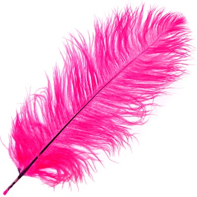 Ostrich Drab Feathers 14-16in Premium Quality