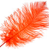 Ostrich Drab Feathers 14-16in Premium Quality 