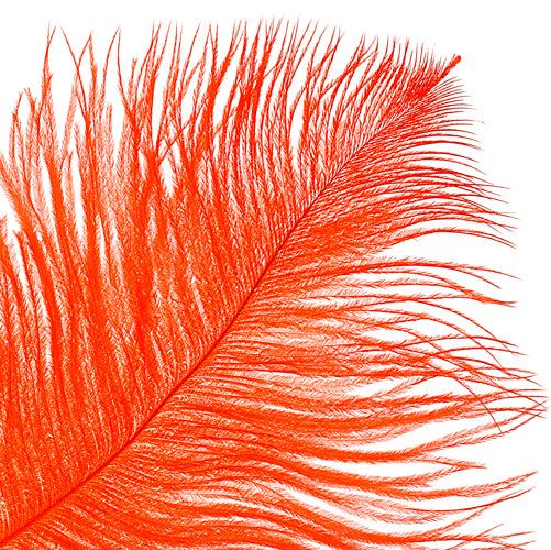 Ostrich Drab Feathers 14-16in Premium Quality 