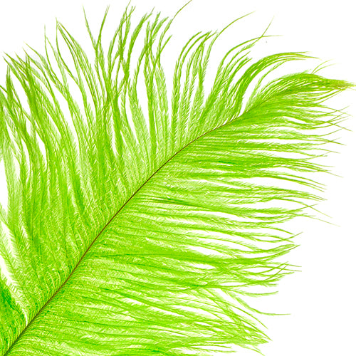 Ostrich Drab Feathers 14-16in Premium Quality 