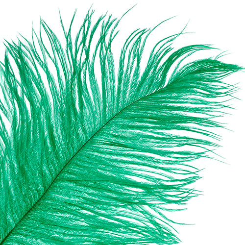 Ostrich Drab Feathers 14-16in Premium Quality 