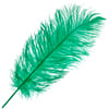 Ostrich Drab Feathers 14-16in Premium Quality 