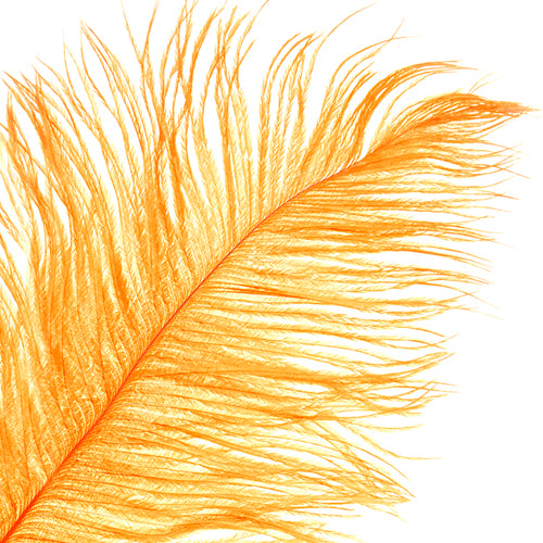 Ostrich Drab Feathers 14-16in Premium Quality 