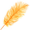 Ostrich Drab Feathers 14-16in Premium Quality 