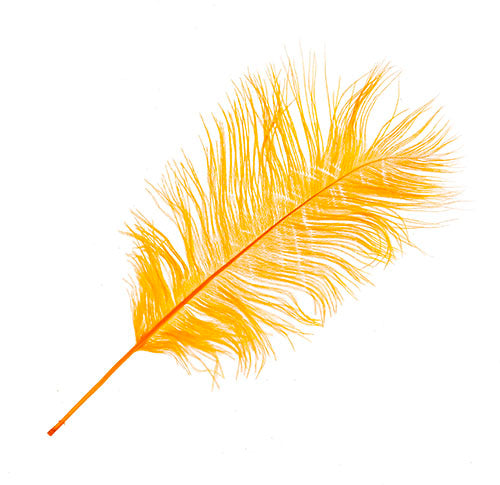 Ostrich Drab Feathers 14-16in Premium Quality