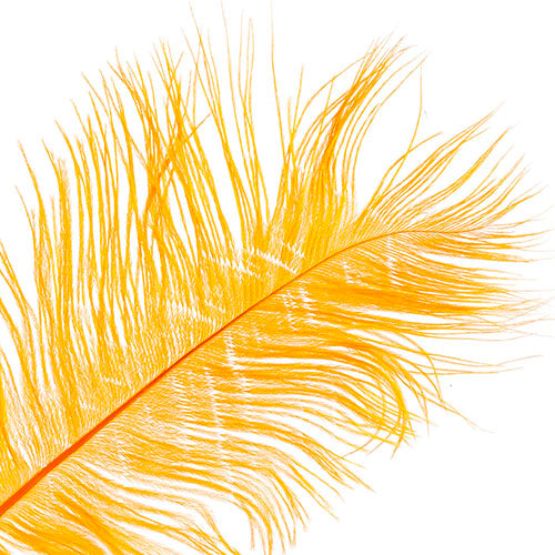 Ostrich Drab Feathers 14-16in Premium Quality 