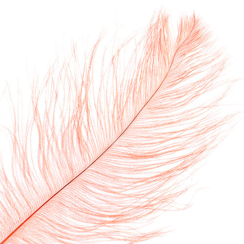 Ostrich Drab Feathers 14-16in Premium Quality 