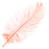 Ostrich Drab Feathers 14-16in Premium Quality 