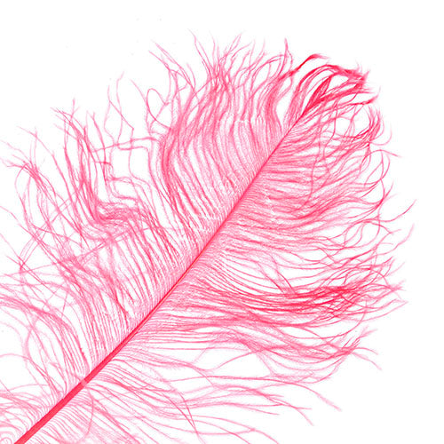 Ostrich Drab Feathers 14-16in Premium Quality 