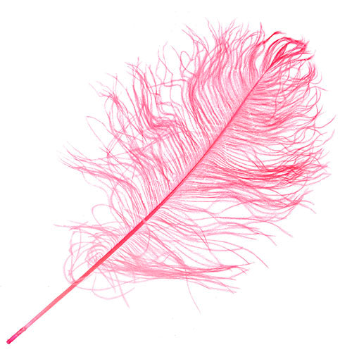 Ostrich Drab Feathers 14-16in Premium Quality