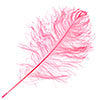 Ostrich Drab Feathers 14-16in Premium Quality 