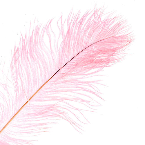 Ostrich Drab Feathers 14-16in Premium Quality 