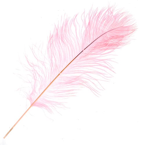 Ostrich Drab Feathers 14-16in Premium Quality