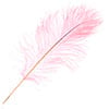 Ostrich Drab Feathers 14-16in Premium Quality 