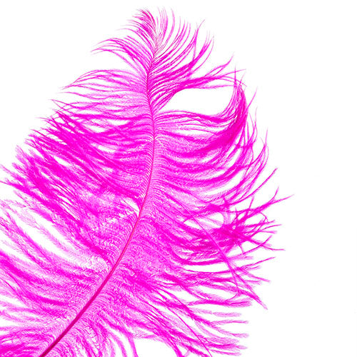 Ostrich Drab Feathers 14-16in Premium Quality 